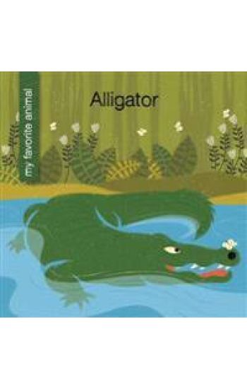 Alligator