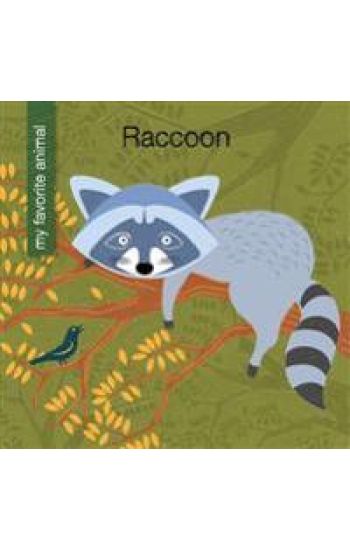 Raccoon