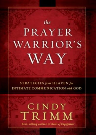 Prayer Warrior's Way, The