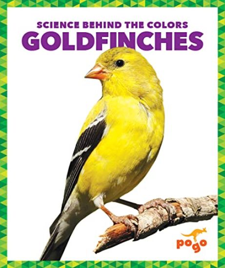 Goldfinches