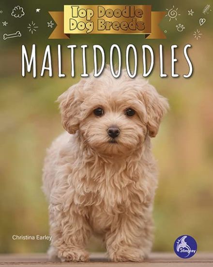 Maltidoodles