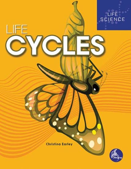 Life Cycles