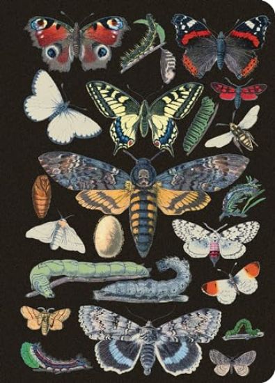 Vintage Butterflies Journal / Notebook / Diary - Lined Pages