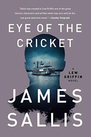 Eye of the Cricket