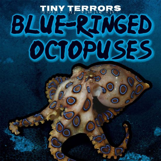 Blue-Ringed Octopuses