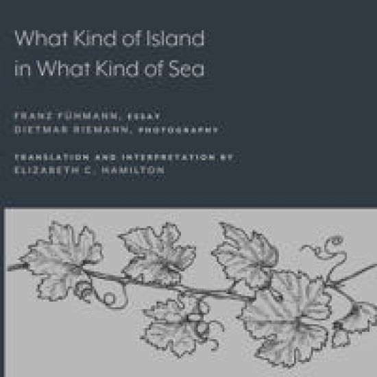 What Kind of Island in What Kind of Sea? – Franz Fühmann, kirjan kansikuva