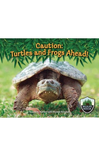 Caution: Turtles and Frogs Ahead!