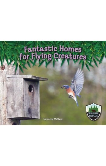 Fantastic Homes for Flying Creatures