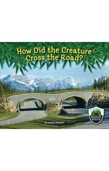 How Did the Creature Cross the Road?