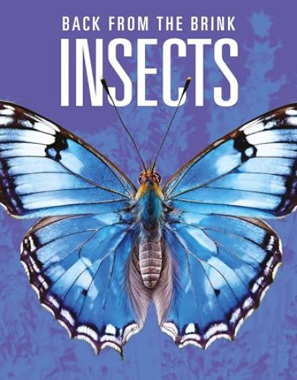 Insects: Back from the Brink