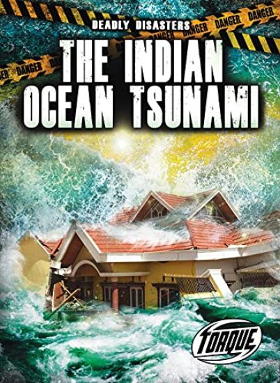 The Indian Ocean Tsunami