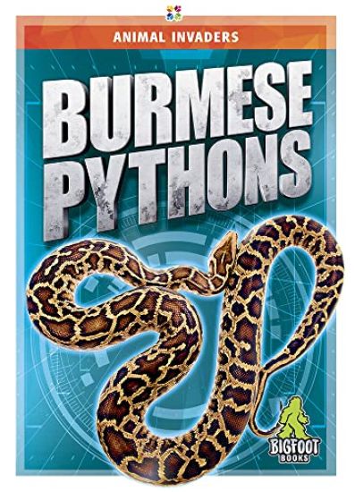 Burmese Pythons