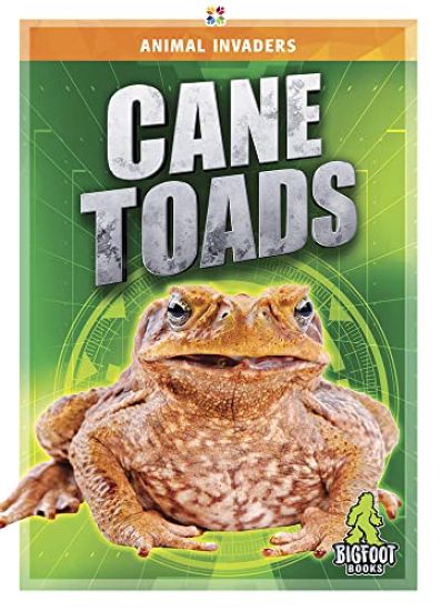 Cane Toads
