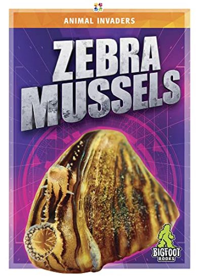 Zebra Mussels