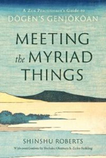 Meeting the Myriad Things