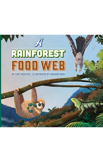 A Rainforest Food Web