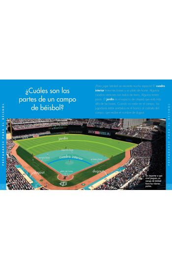 Curiosidad Por El Béisbol