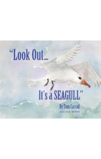 "Look Out... It's a Seagull"