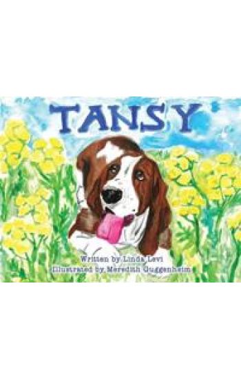 Tansy