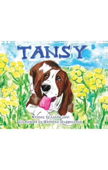 Tansy