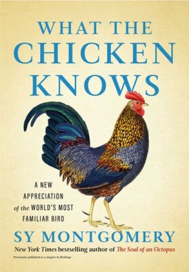 What the Chicken Knows – Sy Montgomery, kirjan kansikuva