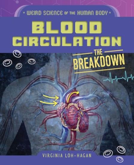 Blood Circulation