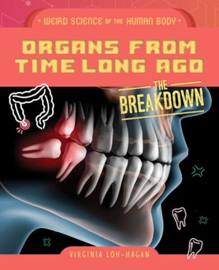 Organs from Time Long Ago