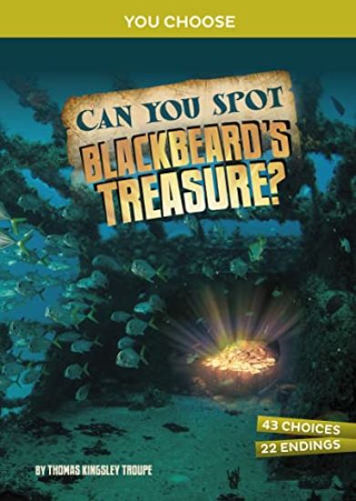 Can You Spot Blackbeard's Treasure?: An Interactive Treasure Adventure
