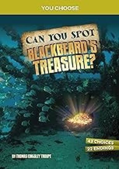 Can You Spot Blackbeard's Treasure?: An Interactive Treasure Adventure