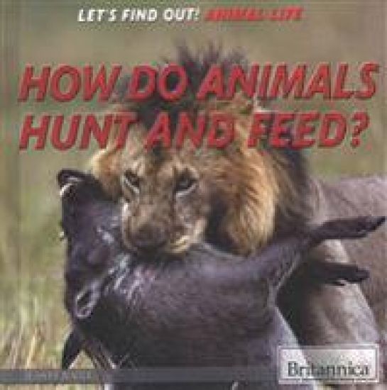 How Do Animals Hunt and Feed?