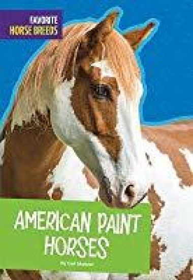 American Paint Horses