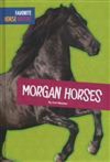 Morgan Horses