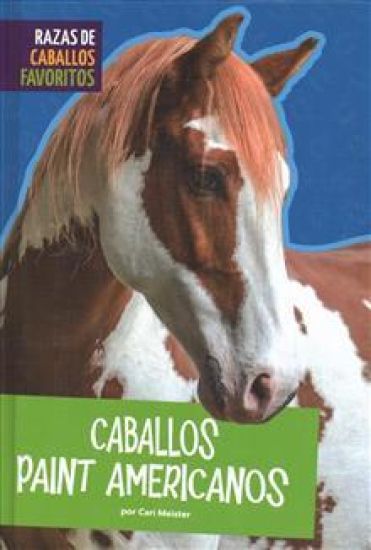 Caballos Paint Americanos