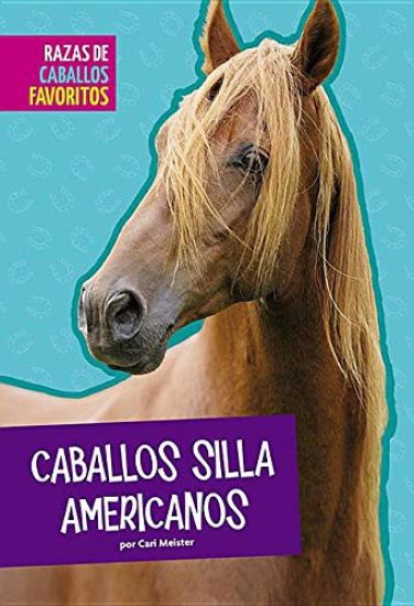 Caballos Silla Americanos