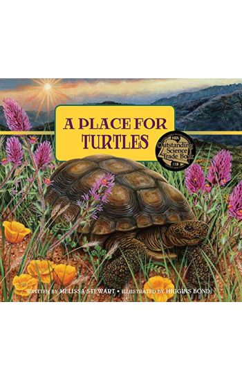 A Place for Turtles