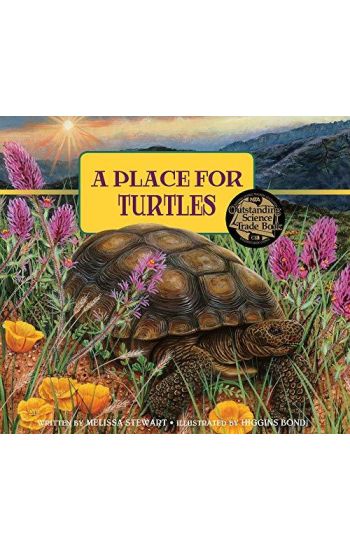 A Place for Turtles
