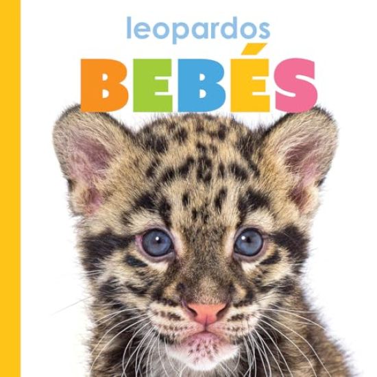 Leopardos Bebes