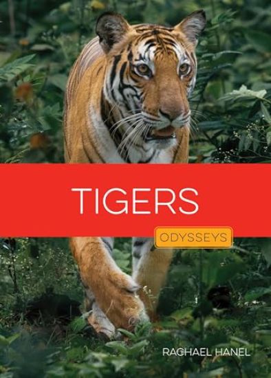 Tigers