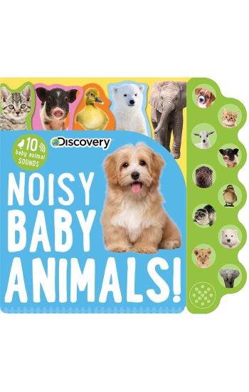 Discovery: Noisy Baby Animals!