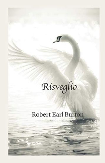 Risveglio