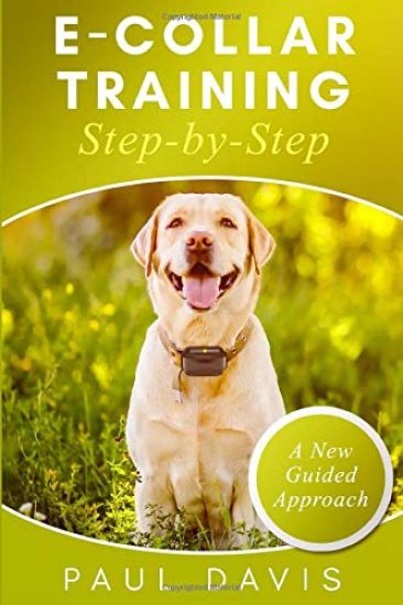 E-collar Training Step-by-Step