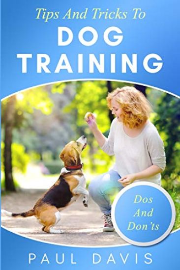 Tips and Tricks To Dog Training