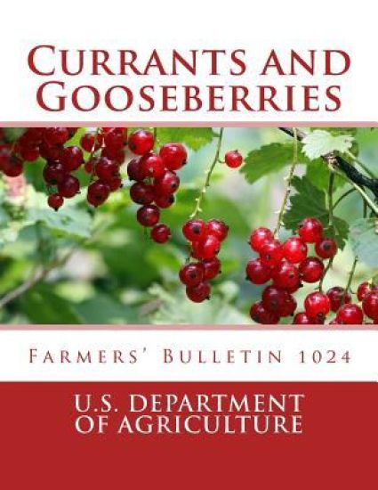 Currants and Gooseberries: Farmers' Bulletin 1024 – U. S. Department of Agriculture, kirjan kansikuva