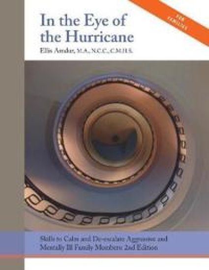 In the Eye of the Hurricane – Ellis Amdur, kirjan kansikuva