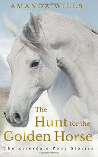 The Hunt for the Golden Horse: The Riverdale Pony Stories