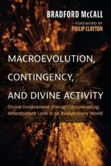 Macroevolution, Contingency, and Divine Activity