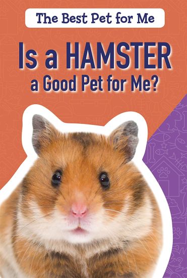Is a Hamster a Good Pet for Me?