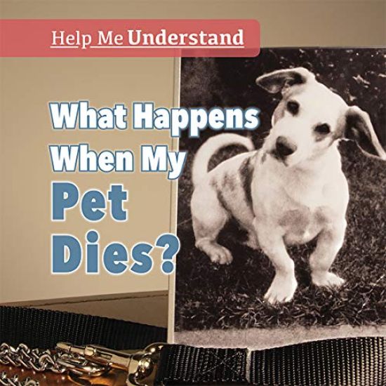 What Happens When My Pet Dies?