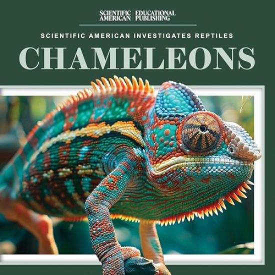 Chameleons