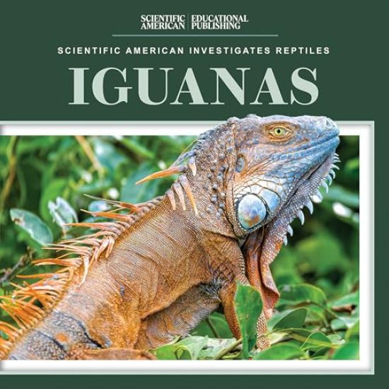 Iguanas